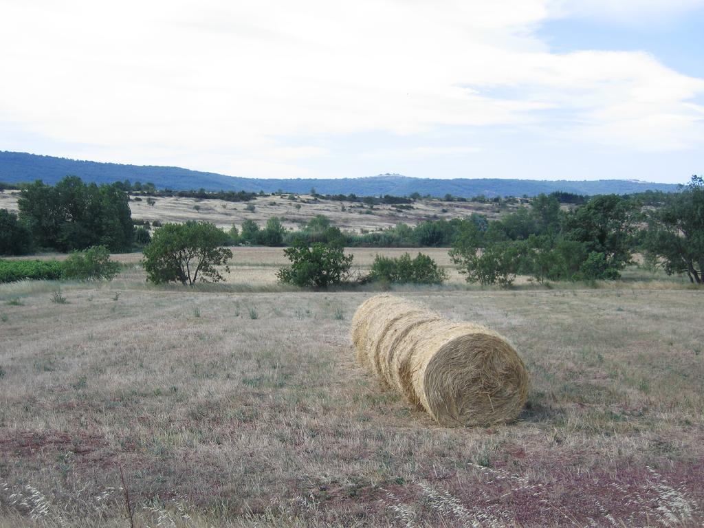 Gite Du Salagou Octon Exterior foto